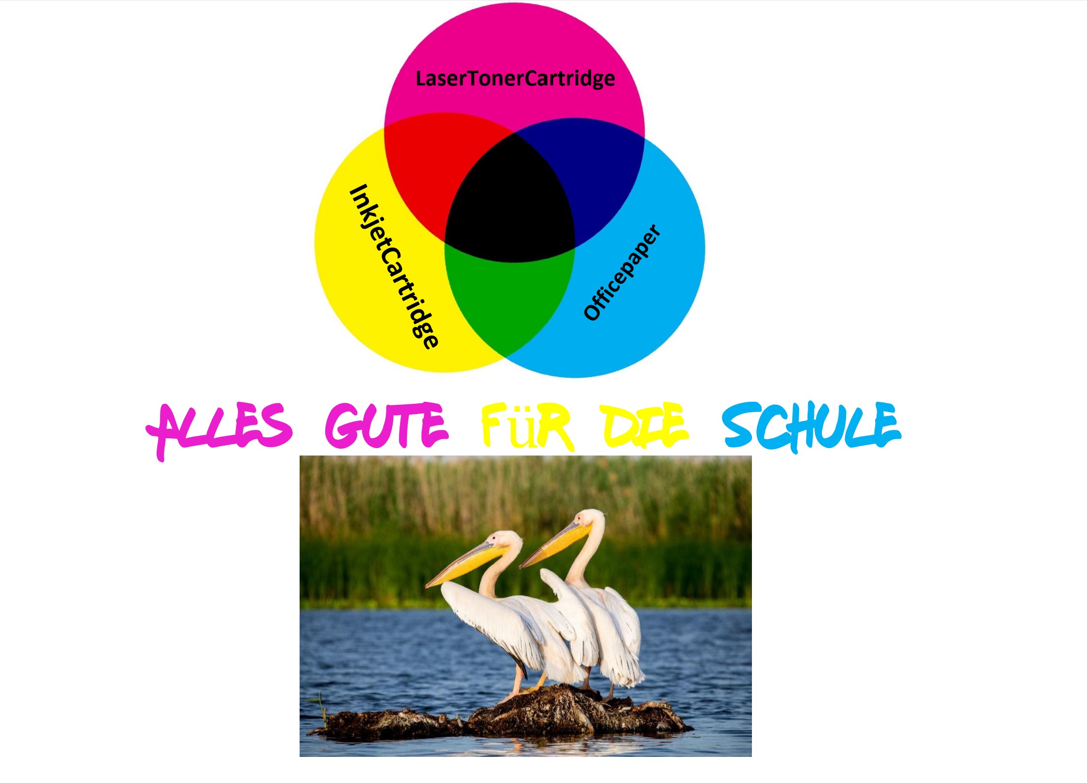 schule1.jpg